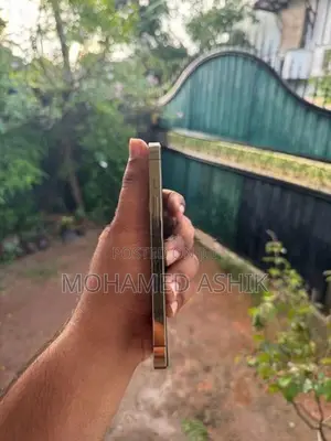 Apple iPhone 13 Pro 256GB (Used)