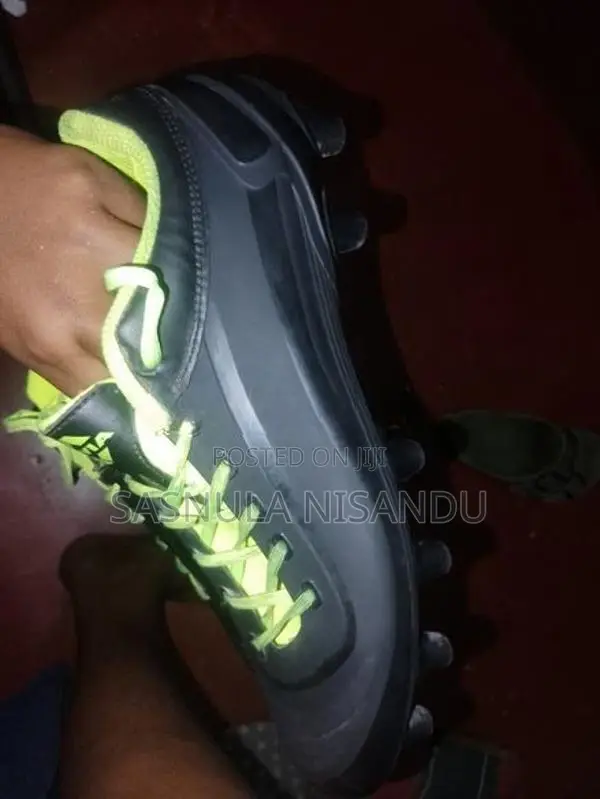 Sports Shoe