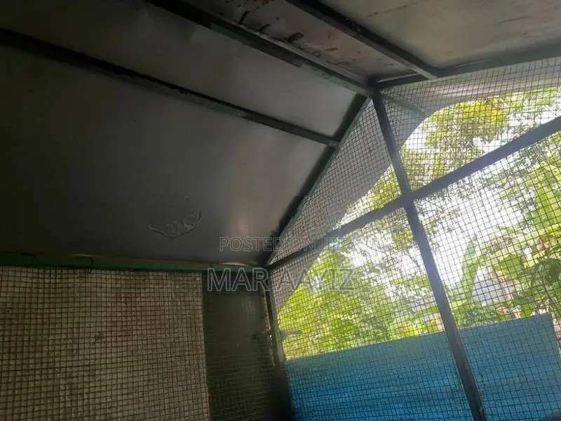 Bird Cage