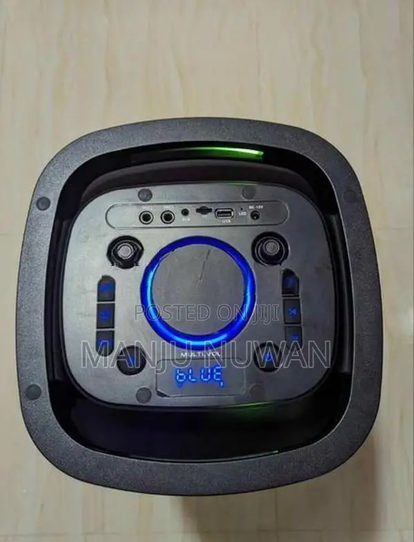 Romaxt R501 OutDoor Party Speaker