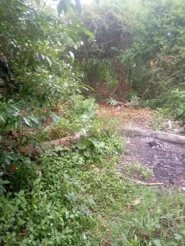 Land for Sale Kadawatha