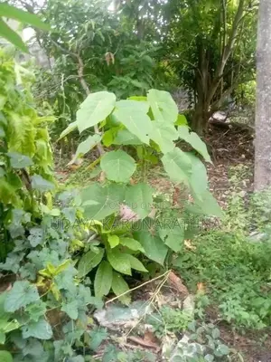 Land for Sale Kadawatha
