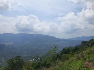 Mountain View land for sale in Pundaluoya