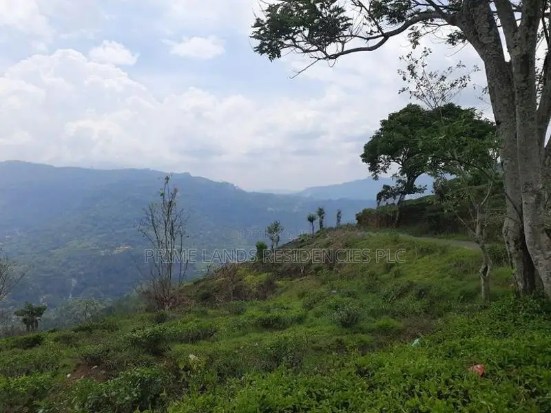 Mountain View land for sale in Pundaluoya