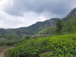 Mountain View land for sale in Pundaluoya