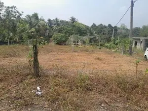 Land for Sale Meepa