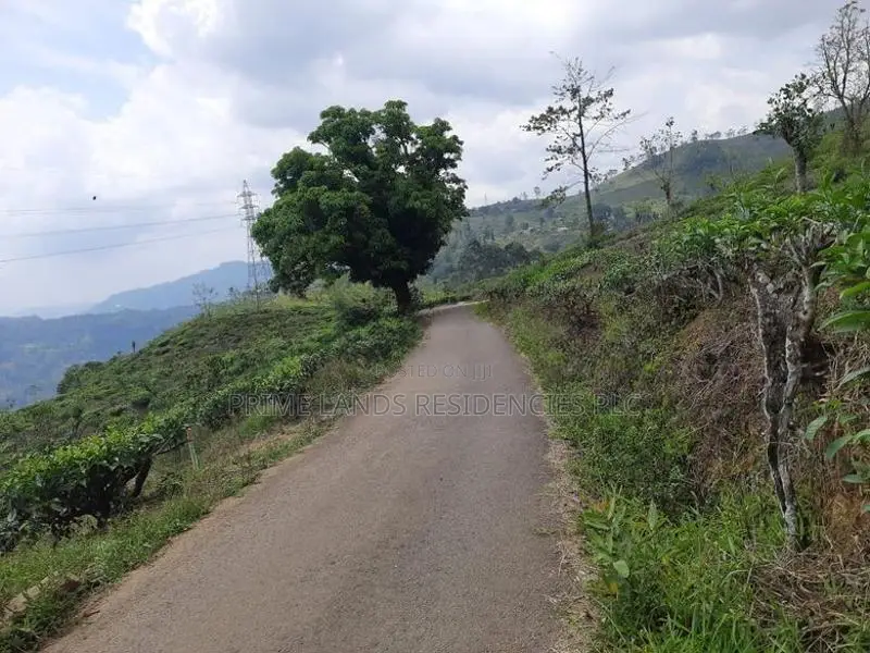 Mountain View land for sale in Pundaluoya