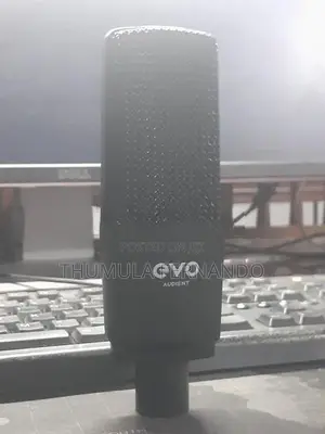 Evo SR1 Condenser Studio Microphone