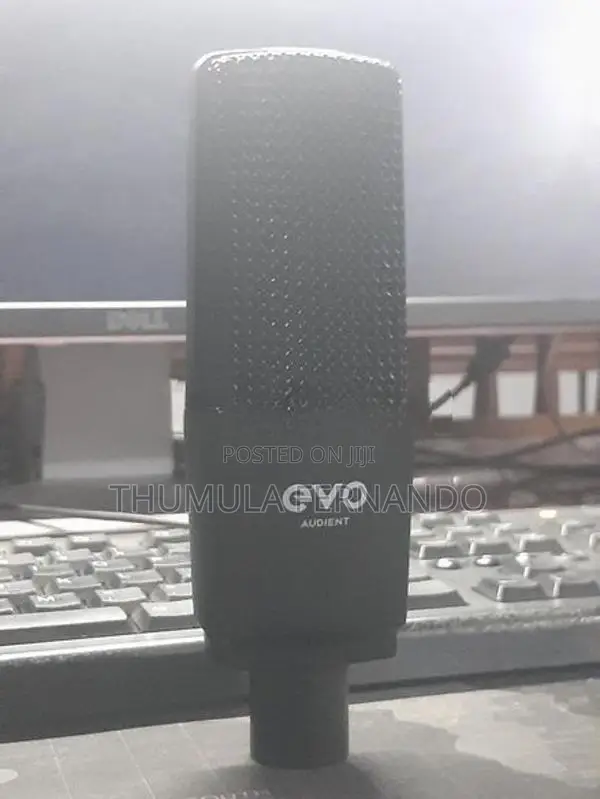 Evo SR1 Condenser Studio Microphone