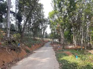 Residential land for sale in Nelundeniya