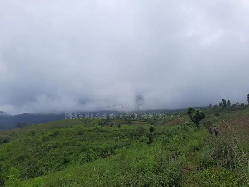 Mountain view land for sale in Ramboda