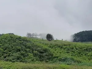 Mountain view land for sale in Ramboda