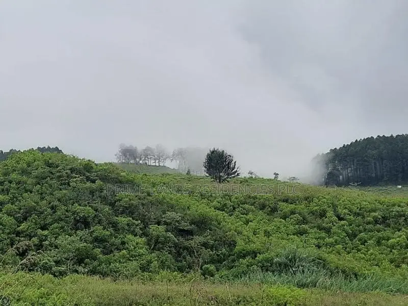 Mountain view land for sale in Ramboda