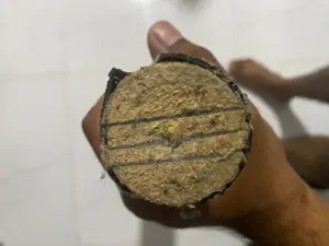 Cricket Bat