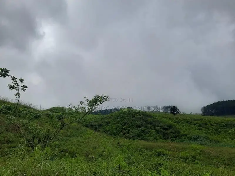 Mountain view land for sale in Ramboda
