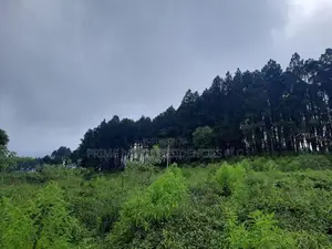 Mountain view land for sale in Ramboda