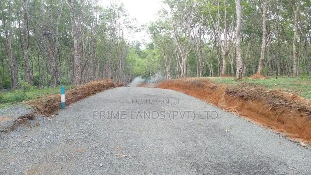 අහංගම සංචාරක කලාපයෙන් බිම් කොටස්