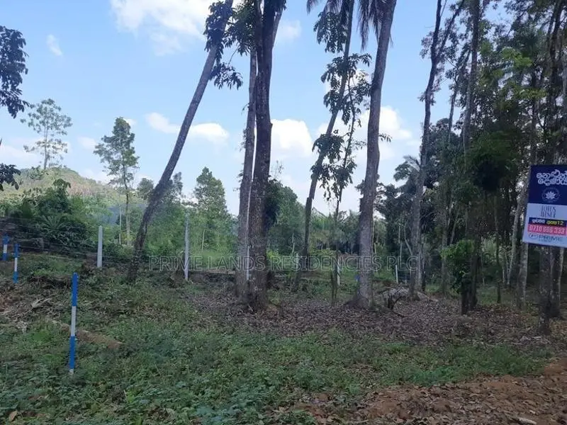 Valuable land for sale in Nelundeniya