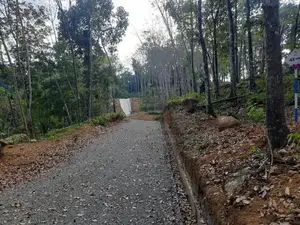 Valuable land for sale in Nelundeniya