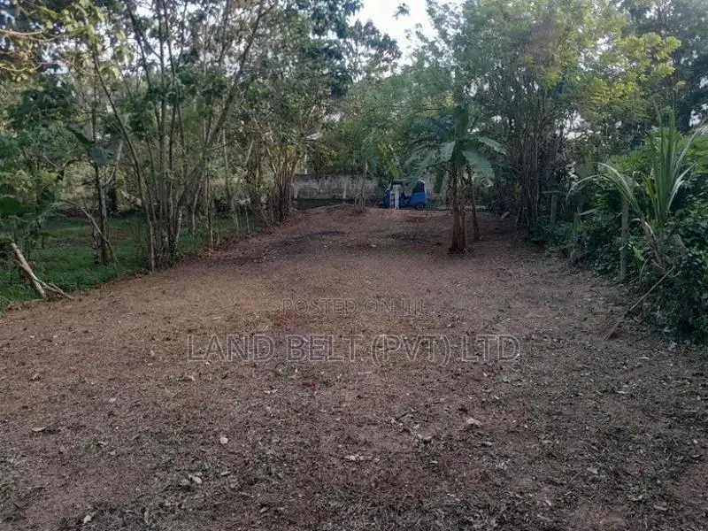 Kadawatha, Kirillawalin Land for Sale
