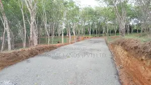 අහංගම පංචාලිය සංචාරක කලාපයෙන් බිම් කොටස්