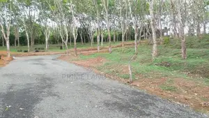 අහංගම පංචාලිය සංචාරක කලාපයෙන් බිම් කොටස්