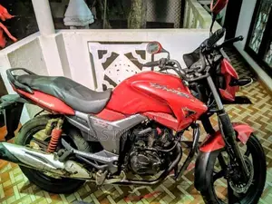 Hero Hunk 2010