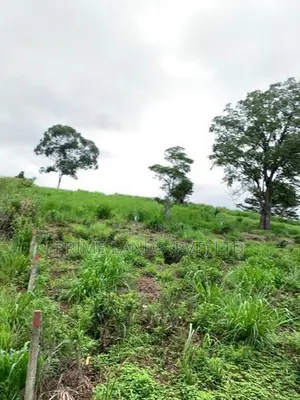 Land for sale in pussellawa