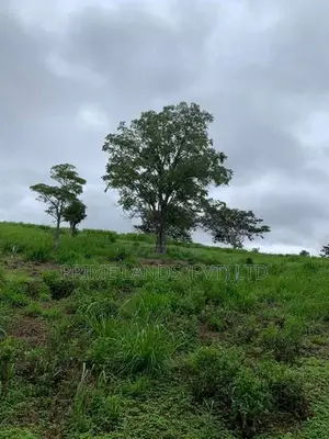 Land for sale in pussellawa