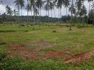 Land for Sale in Narammala