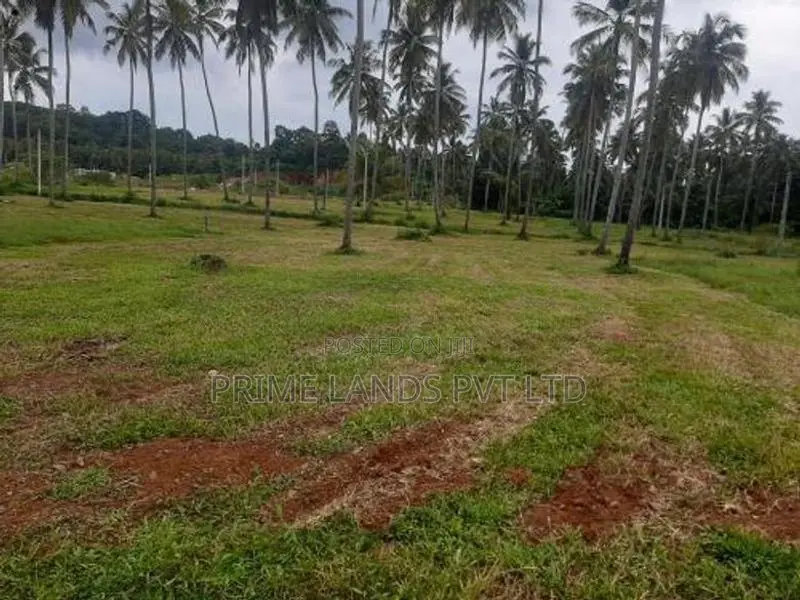 Land for Sale in Narammala