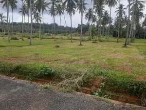 Land for Sale in Narammala