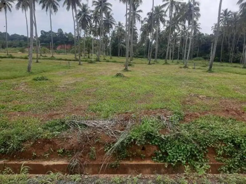 Land for Sale in Narammala
