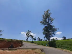 Mountain view land for sale in Nuwaraeliya