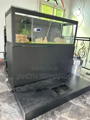Fish Tank with Accessories