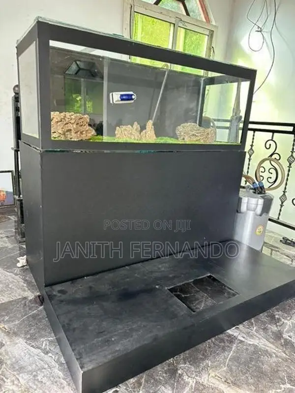 Fish Tank with Accessories