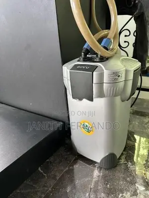 Fish Tank with Accessories