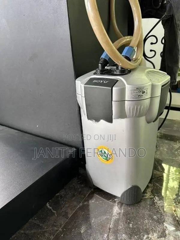 Fish Tank with Accessories