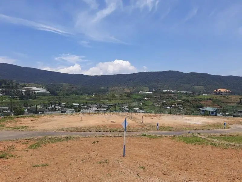 Mountain view land for sale in Nuwaraeliya