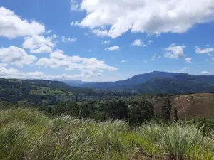 Valuable land for sale in Delthota