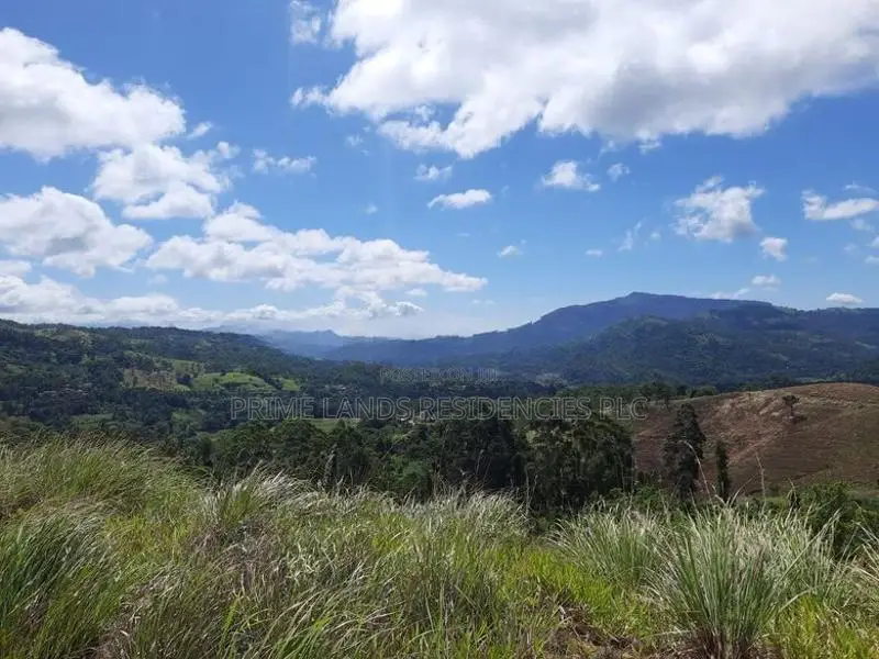 Valuable land for sale in Delthota