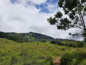 Valuable land for sale in Delthota