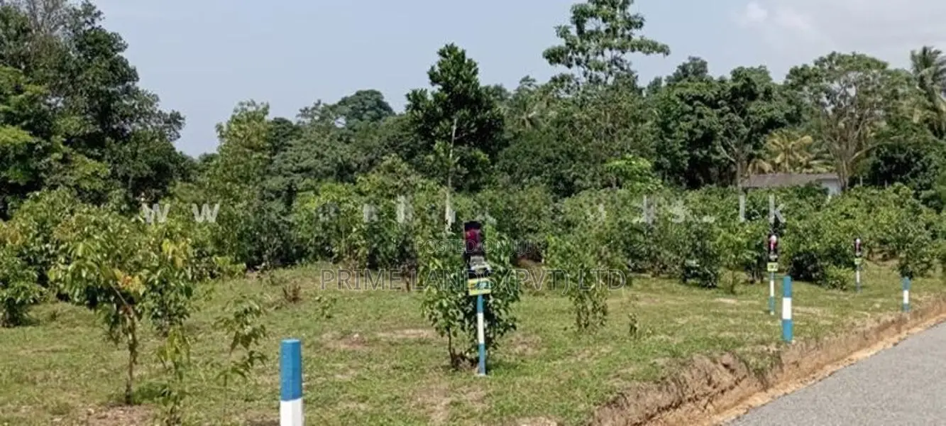 Valuable land for sale in Kalutara Palathota