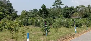 Valuable land for sale in Kalutara Palathota