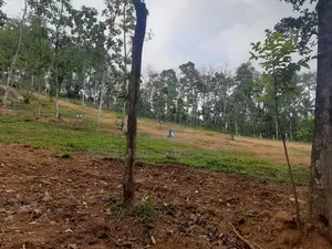 Residential land for sale in Nelundeniya