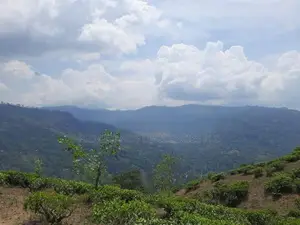 Valuable land for sale in Pundaluoya