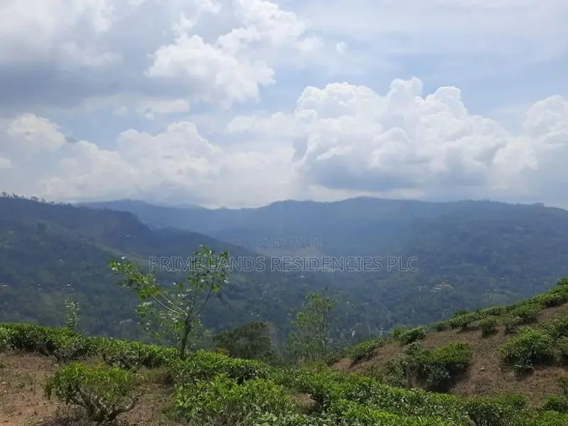 Valuable land for sale in Pundaluoya