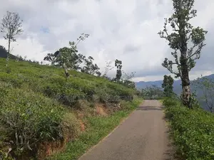 Valuable land for sale in Pundaluoya