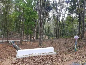 Residential land for sale in Nelundeniya