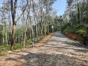 Land for sale in Nelundeniya